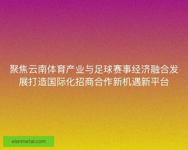 聚焦云南体育产业与足球赛事经济融合发展打造国际化招商合作新机遇新平台